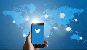 国内安卓手机怎么使用twitter?