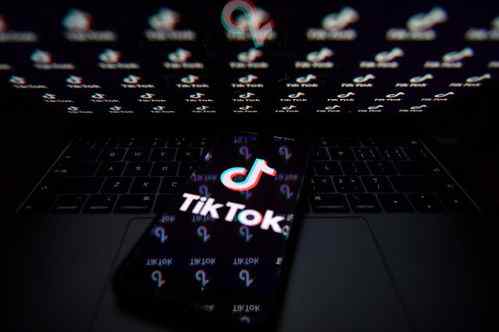 如何利用TikTok推广独立站?