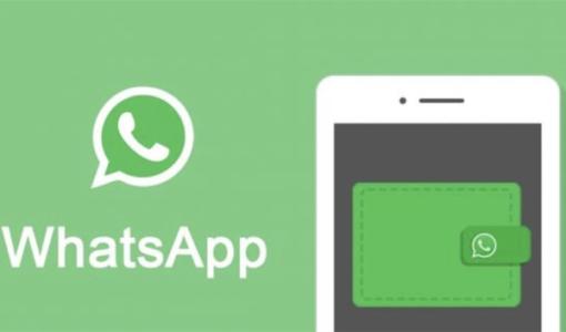 whatsapp群组如何开发客户,wahtsapp卖群