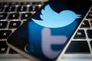 Twitter推特如何启用双因素身份验证?